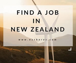 find a job in nz